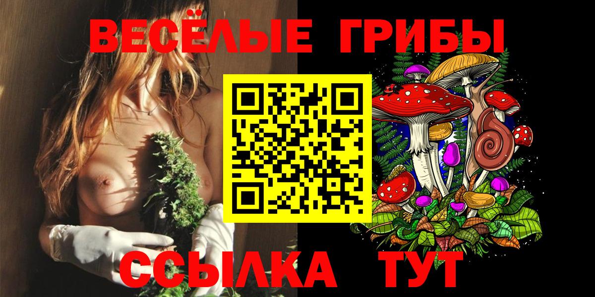 Сегежа  Псилоцибиновые грибы ЛСД  Вход с VPN 
