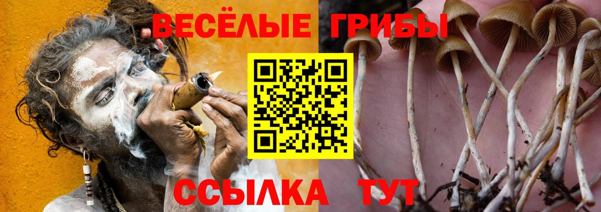 Галлюциногенные грибы MAGIC MUSHROOMS Сегежа